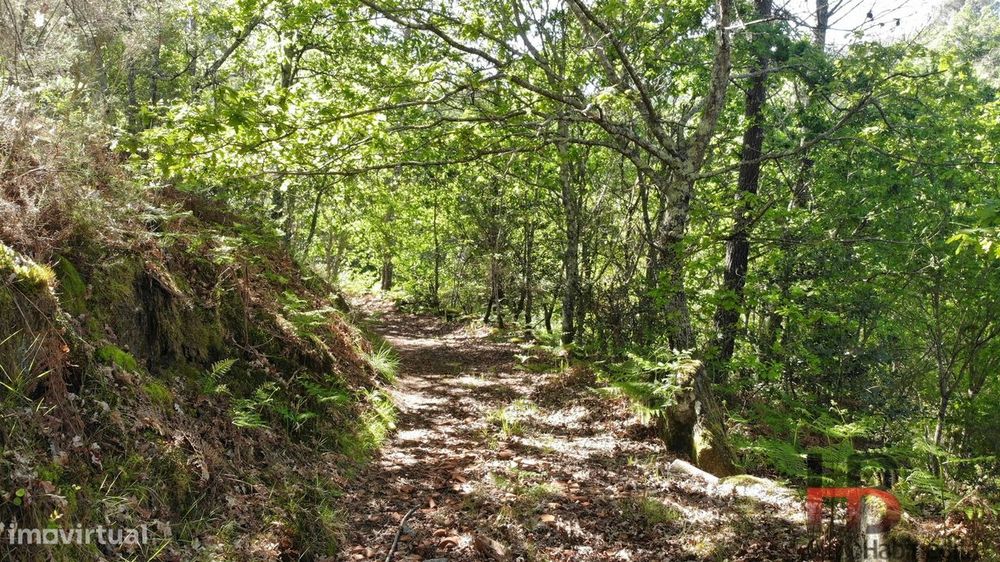 Quinta T2 Venda em Rio Douro,Cabeceiras de Basto