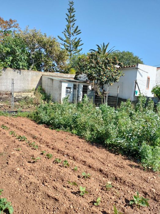 Quinta com Moradia no sitio do Poio - Mexilhoeira Grande