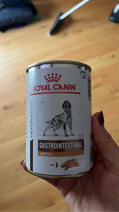 Royal Canin Gastrointestinal low fat