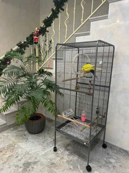 Клітка для папуг з висувним піддоном