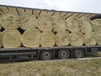 Sprzedam siano transport