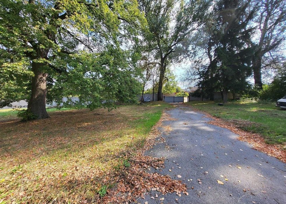 Оренда комерційного приміщення в Некрасове (Юзвин)