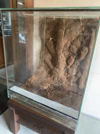 Terrarium szklane ze ścianką gekon kameleon