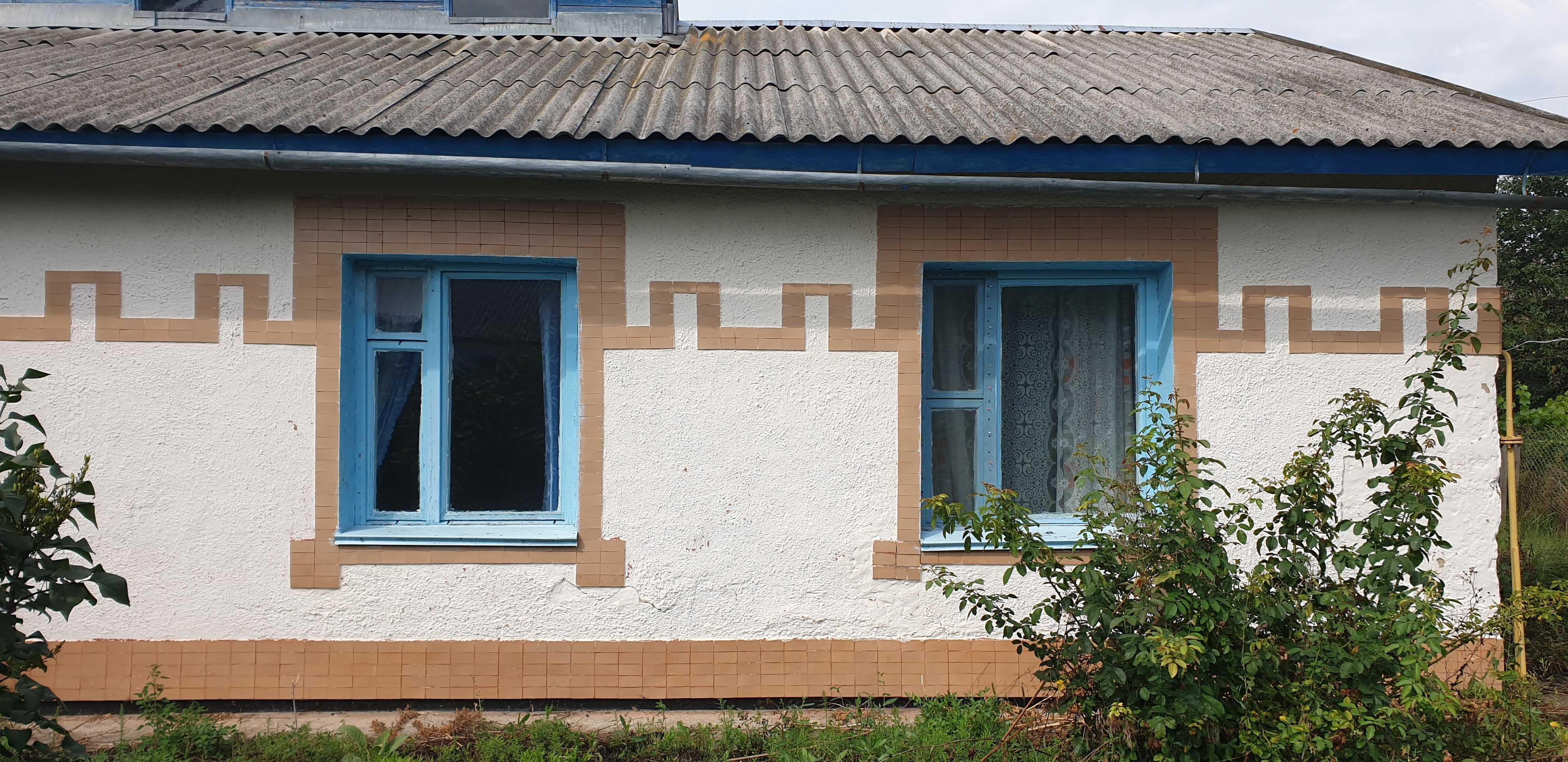 Продаємо будинок в селі Нове Залісся, Бучанського району