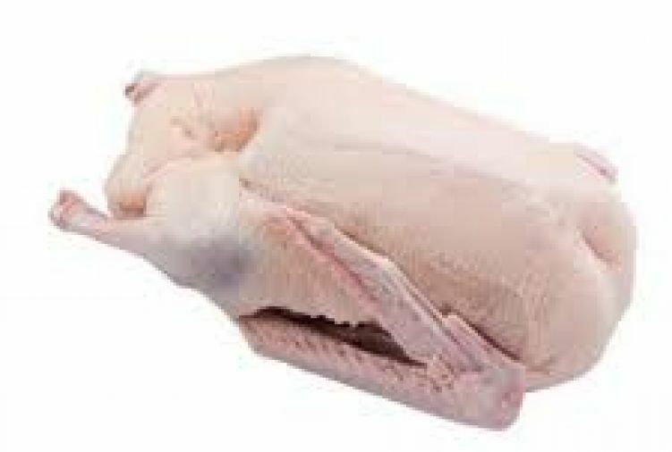 Gęś, gęsi, gęsina, tuszka, tuszki