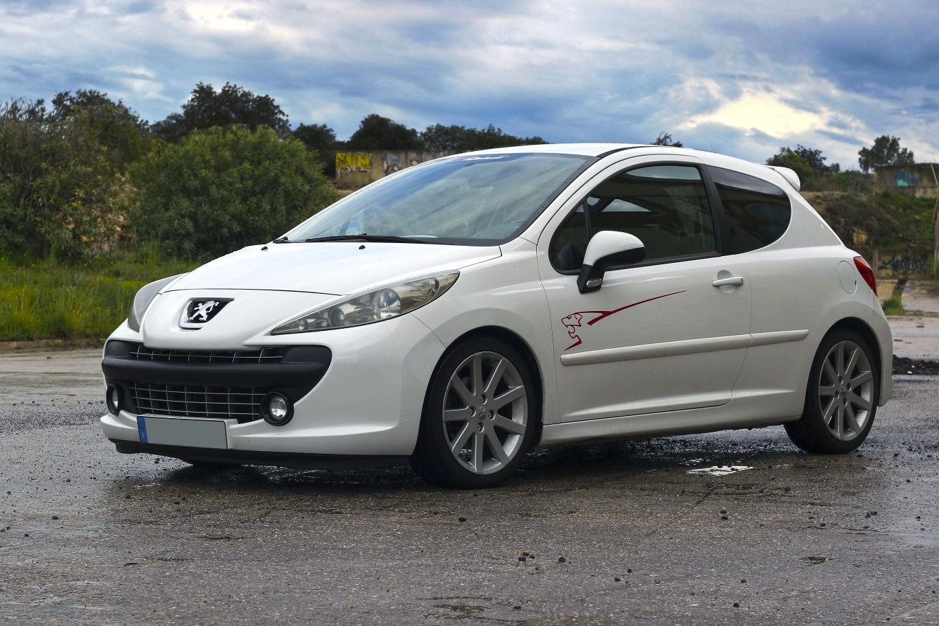 Peugeot 207 Rally Nº 57/100 – Edição Limitada Certificada
