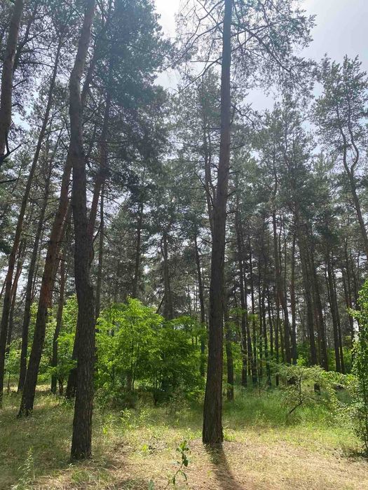 Продам участок в пос. Обуховка