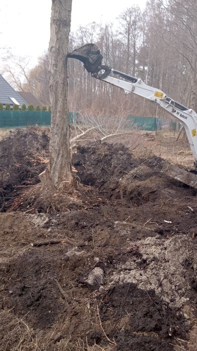 Prace ziemne Bobcat E19