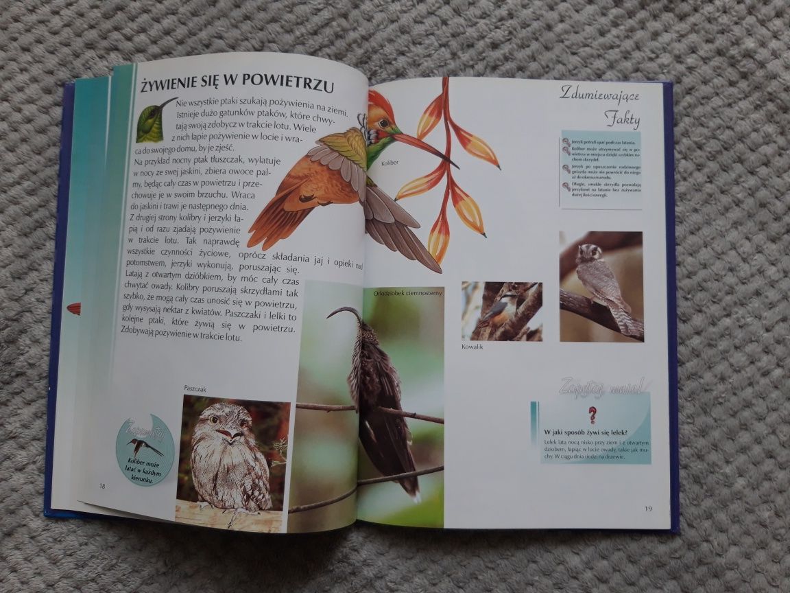 Leksykon wiedzy Ptaki encyklopedia przyrodnicza