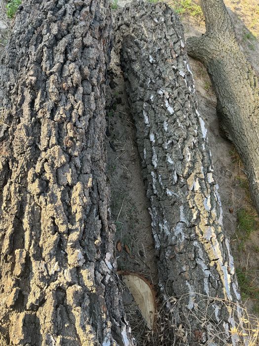 drewno tartaczne kominkowe opałowe paletowe