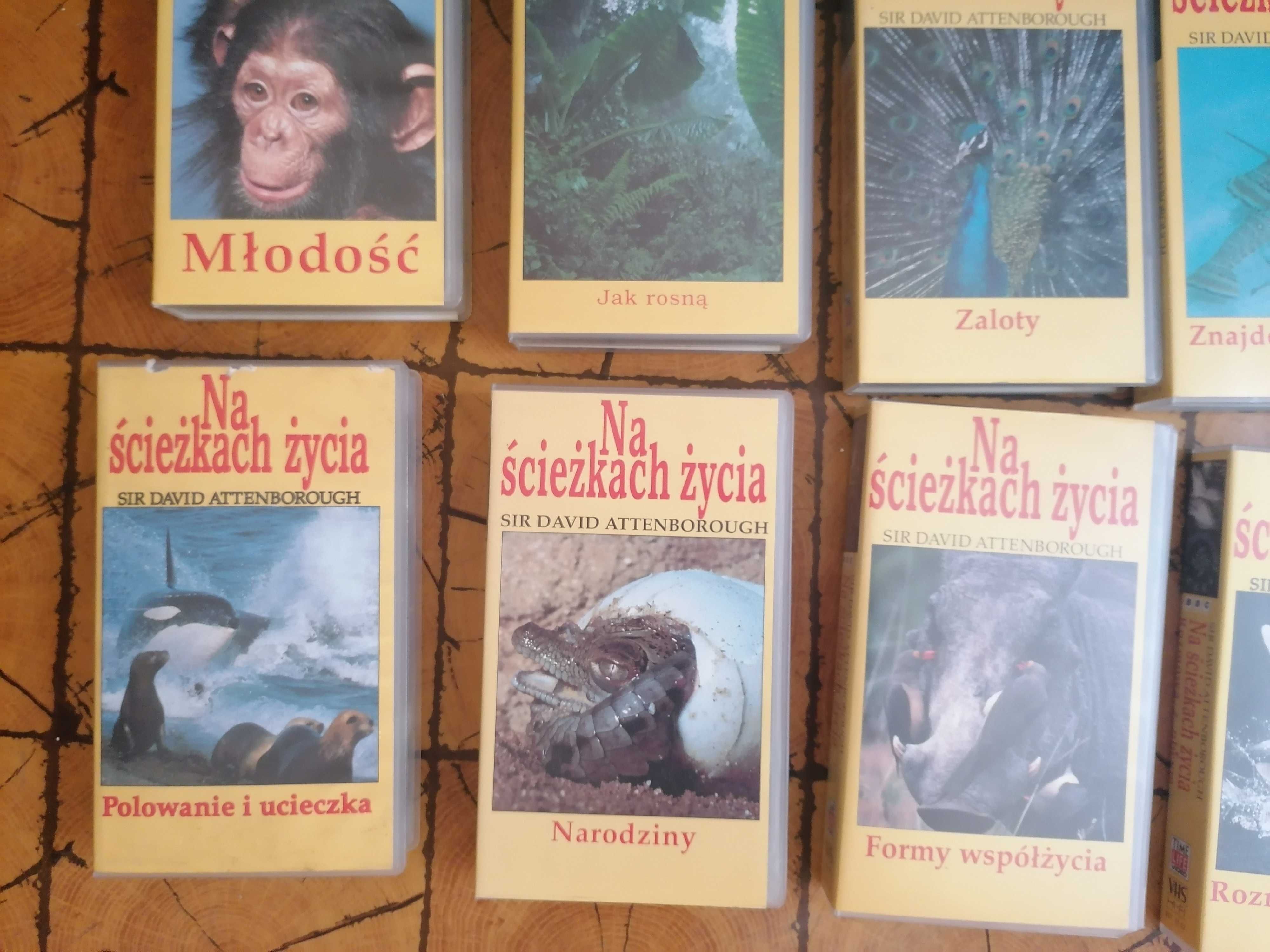 Kasety VHS "Na ścieżkach życia" przedstawia David Attenborough BBC