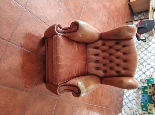 Sofas em Pele Vintage, com 50 anos