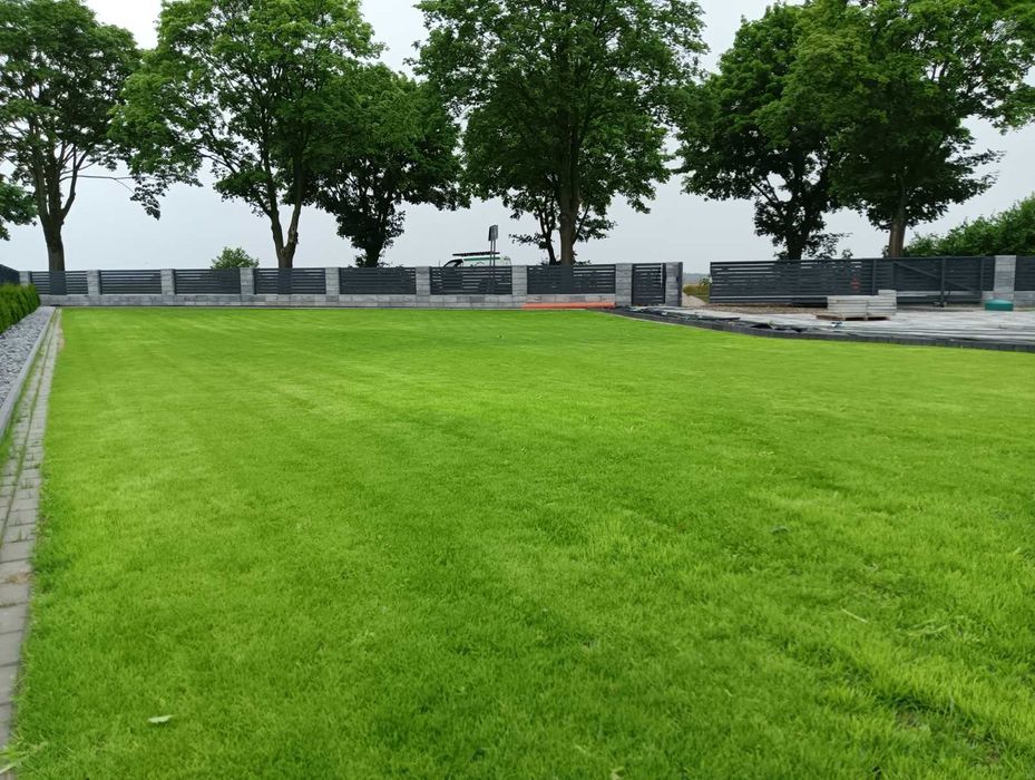 Zakładanie trawnika z siewu przygotowanie równanie terenu nawodnienia