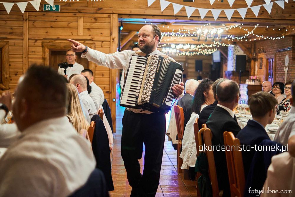 Akordeonista do wynajęcia !