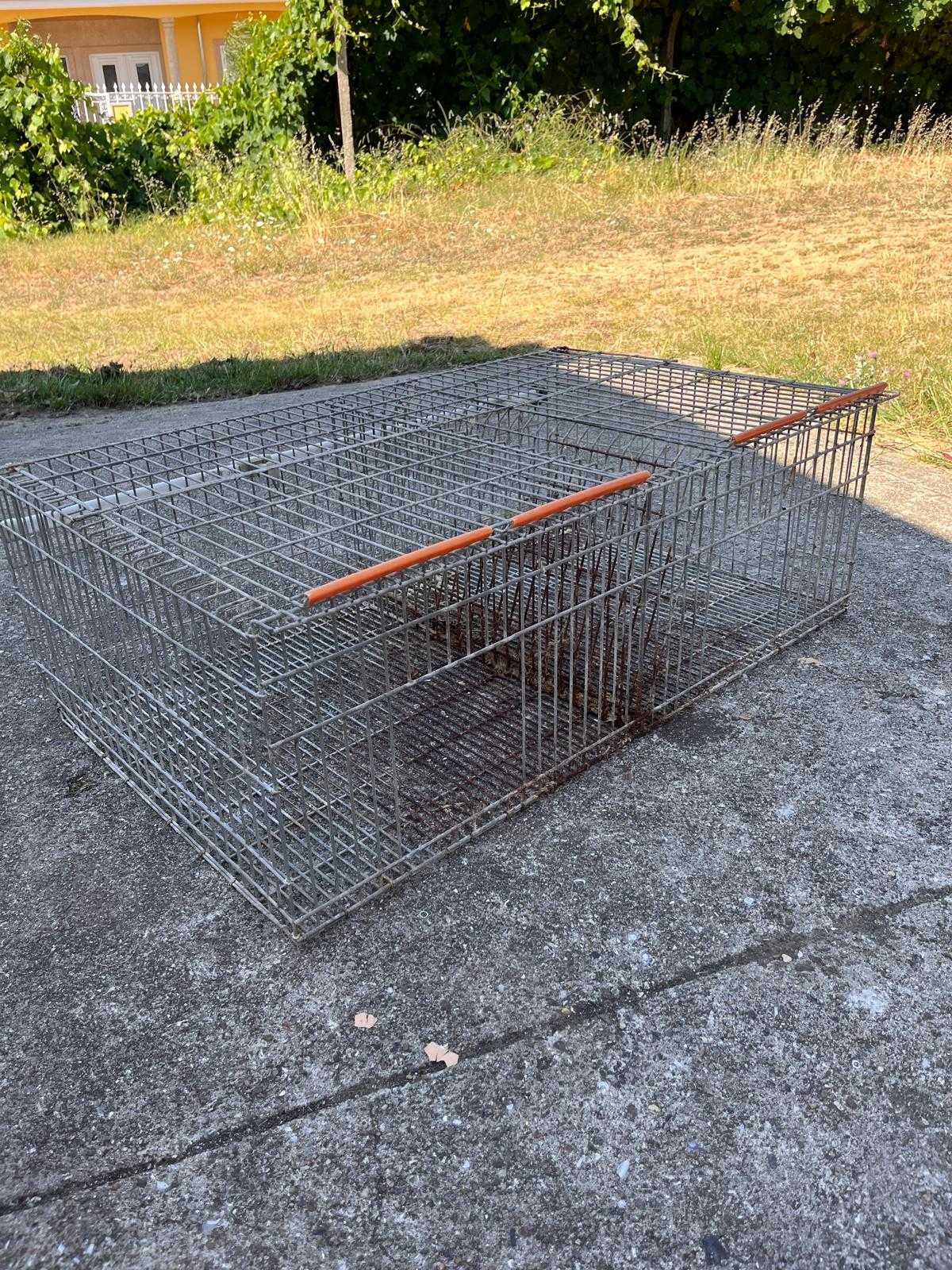 Coelheiras para coelhos.