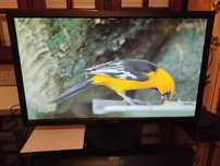 27 pol. FullHD 1ms ASUS c/garantia