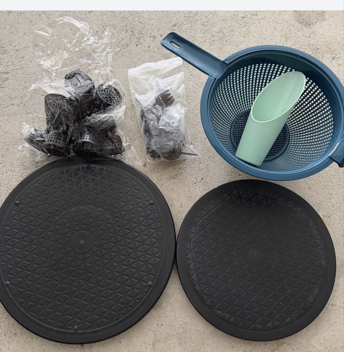 Bonsai Ficus + ferrramentas + adubo tudo: 200€