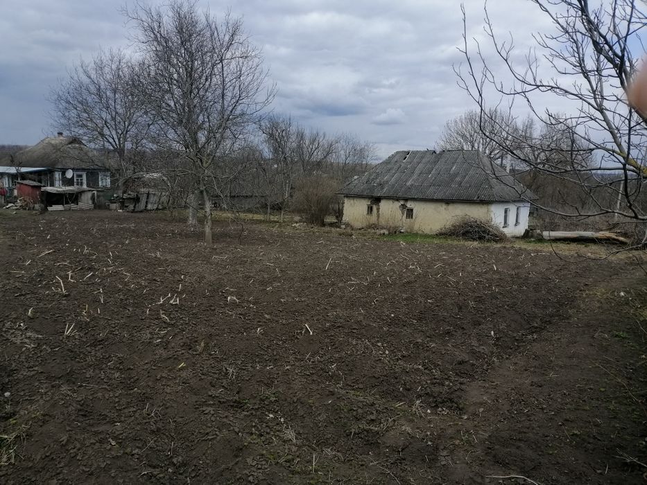 Земельна ділянка