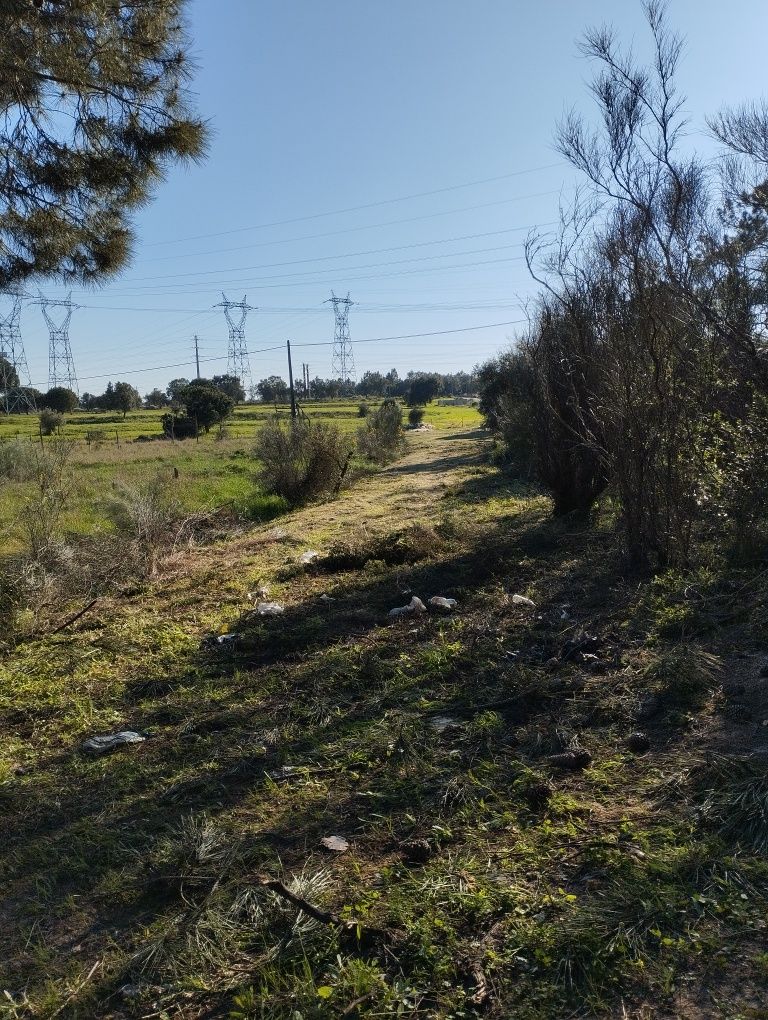 Limpeza de terrenos, construção e manutenção de jardins e piscinas