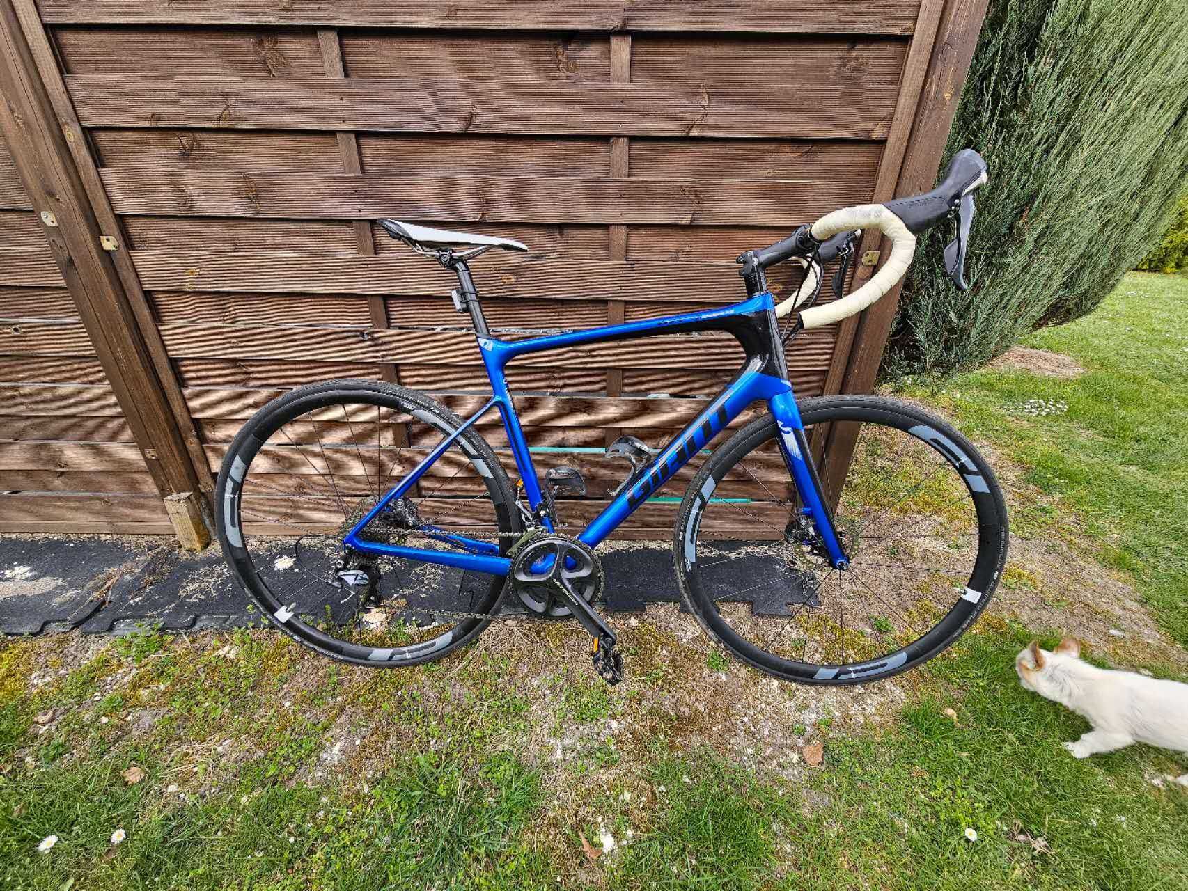 Rower Giant Defy Advanced Ultegra Kolarka Carbon Kolarski Kolarzówka