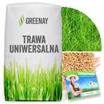 Trawa Uniwersalna Nasiona Trawy Samozagęszczająca Odporna Na Deptanie