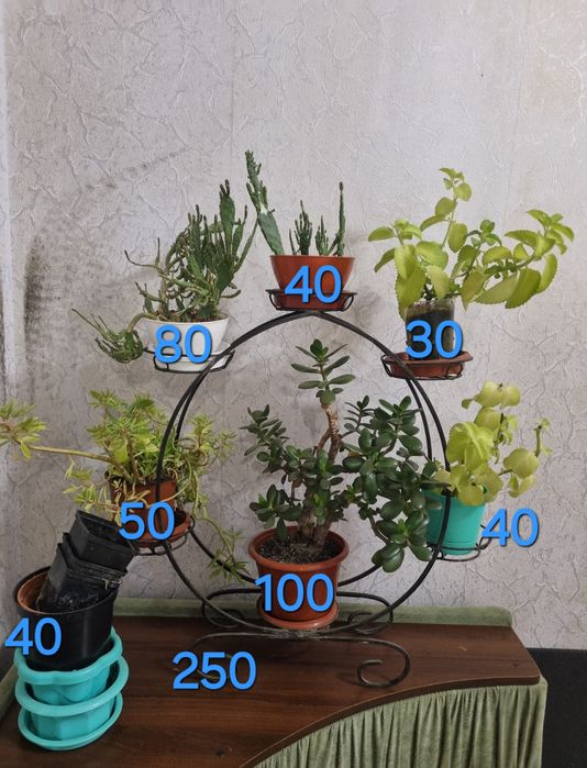 Растения и цветочная стойка