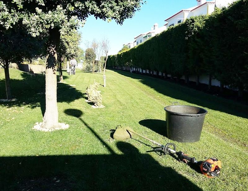 Serviços de jardinagem