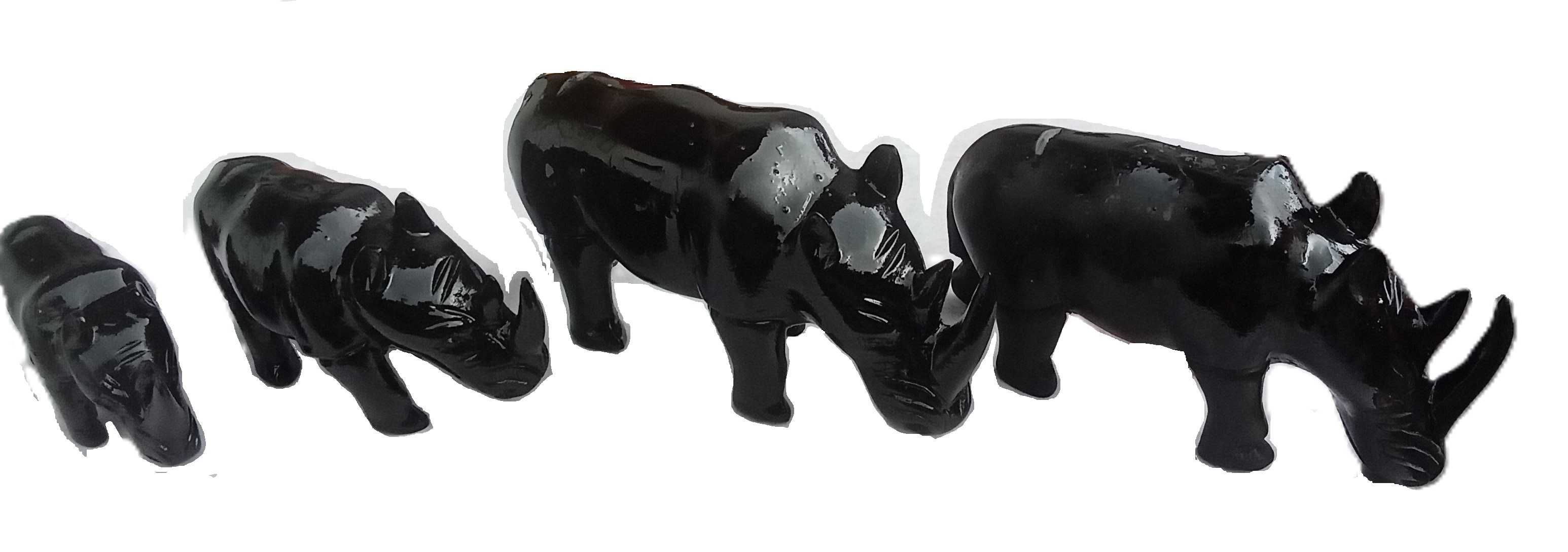 4 Rinocerontes em Pau Preto - Origem Cabinda anos 70's