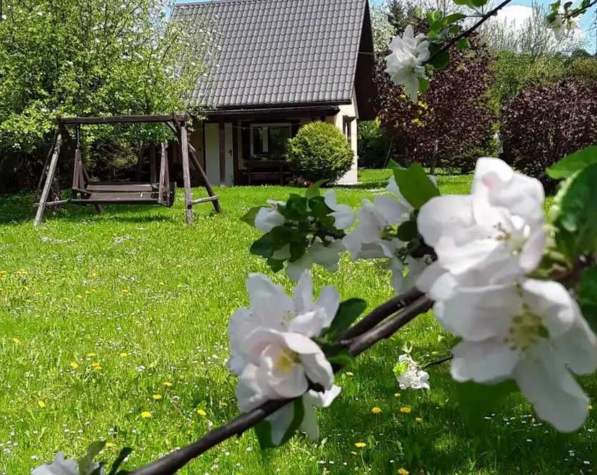 Domki Rodzinne nad Sanem Bieszczady Solina