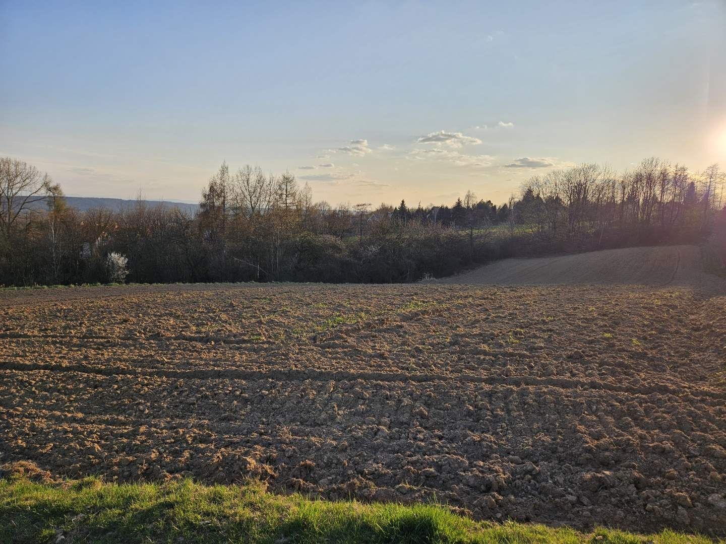Działka ponad 60 arów - Bolechowice