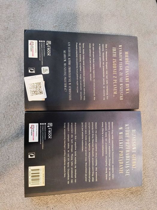 Laurelin Paige, Grzeszny zdobywca tom 1-2