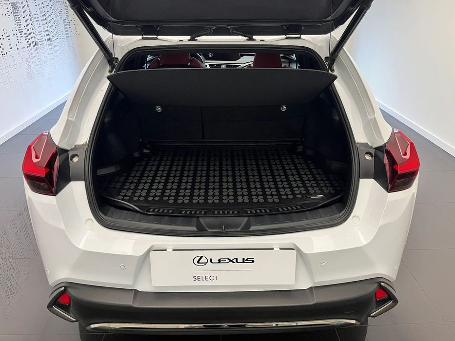 Lexus UX 250h F Sport, serwis ASO