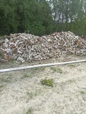 Drzewo brzozowe opał