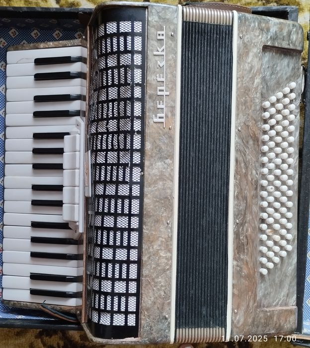 Акордеон Берізка