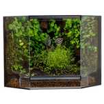 Terrarium tropikalne aktywne biologicznie