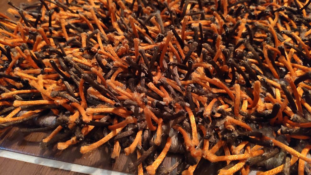 Tapete pequeno de pêlo alto