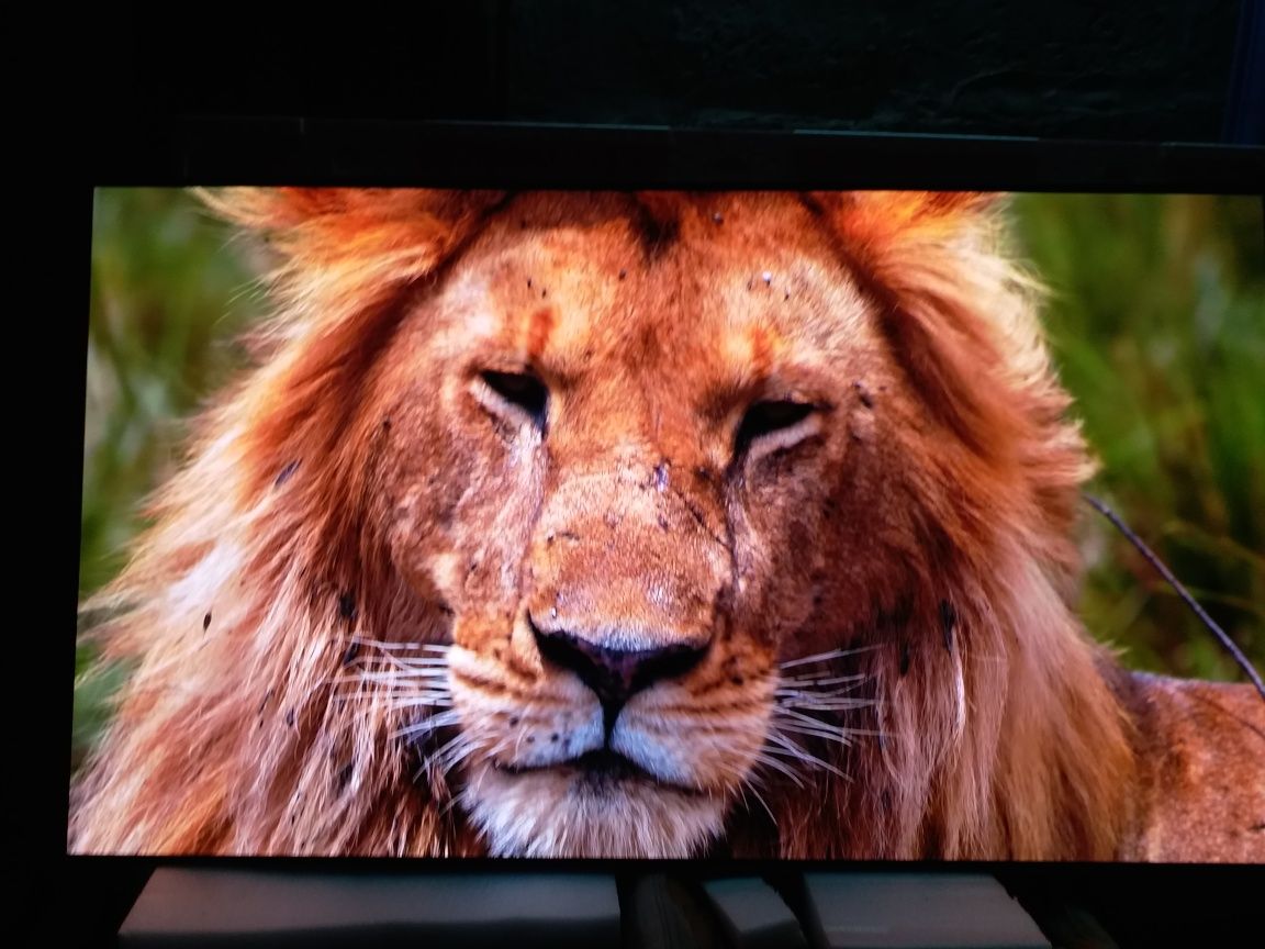 Телевізор Samsung qe65s95b OLED
