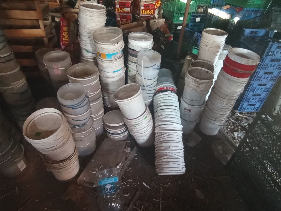 Продам ящики пластикові дерев'яні