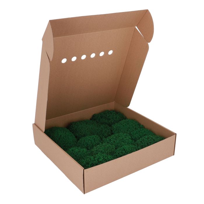 Стабилизированный Мох. Искусственный Мох