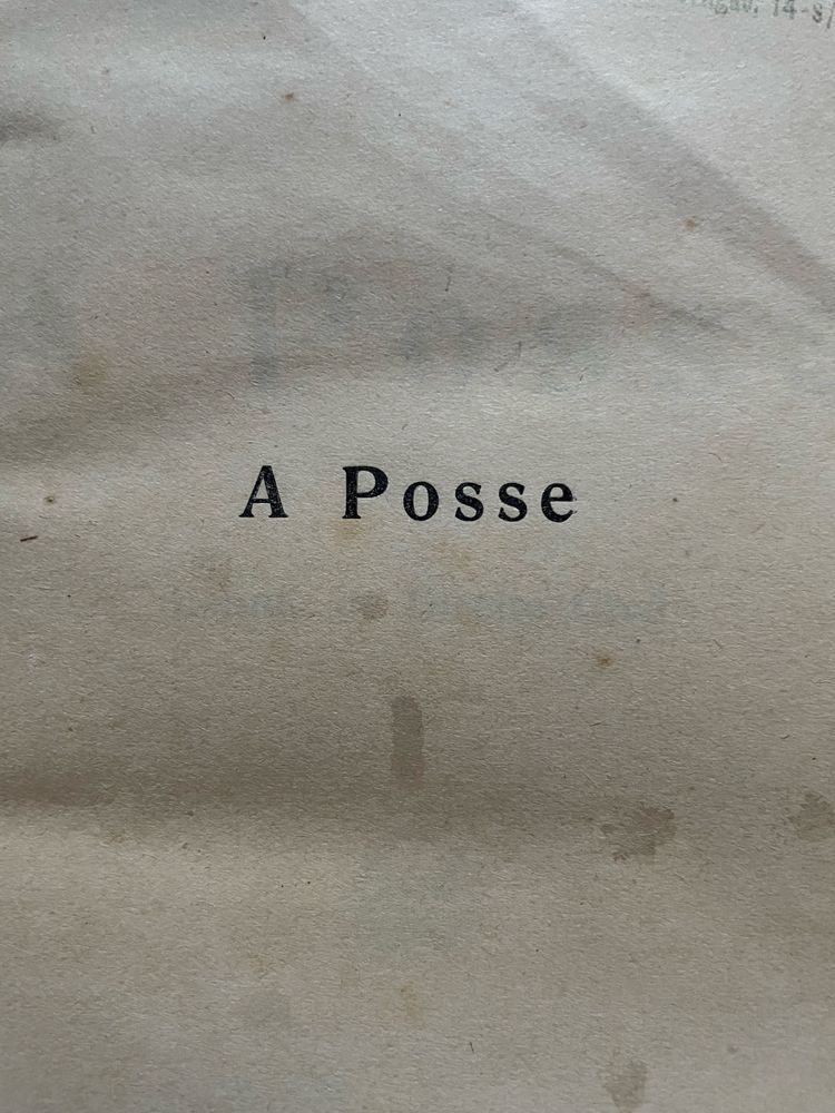 Livro A Pose Estudo de Direito Civil  Manuel Rodrigues Júnior
