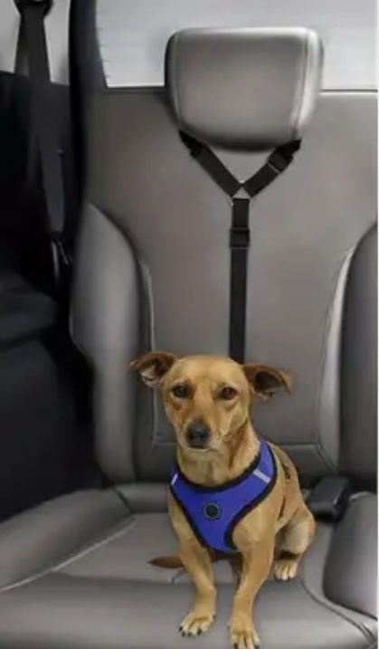 Trela para utilizar também no carro