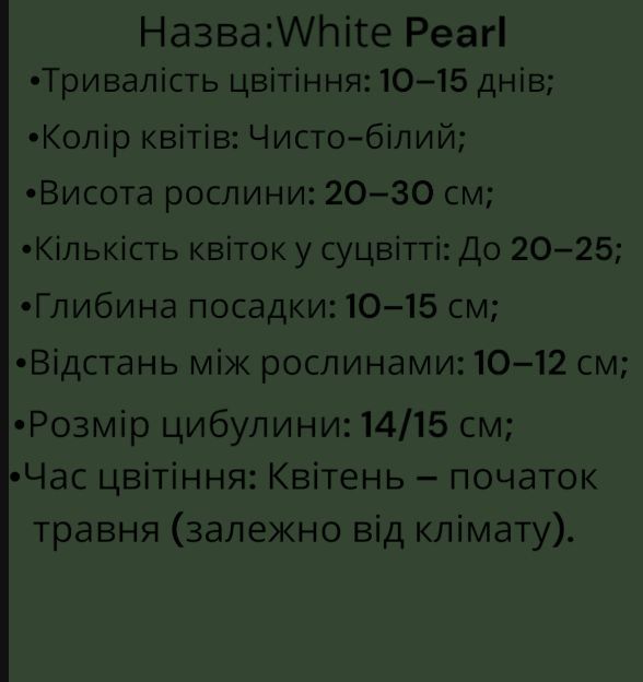 Гіацинт White Pearl