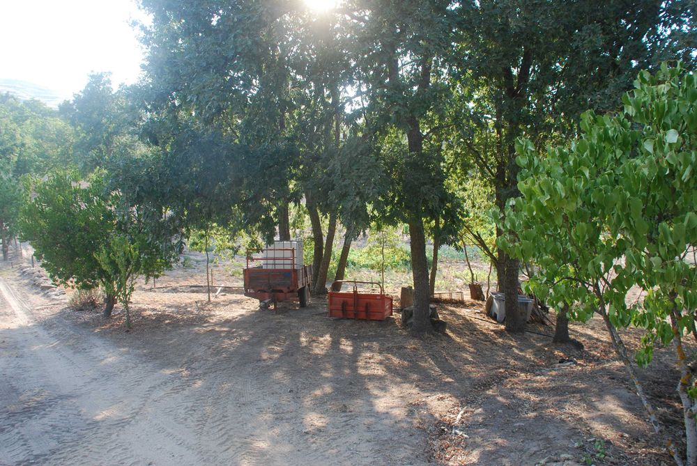 Quinta da Foroa, Macieira (Sernancelhe)