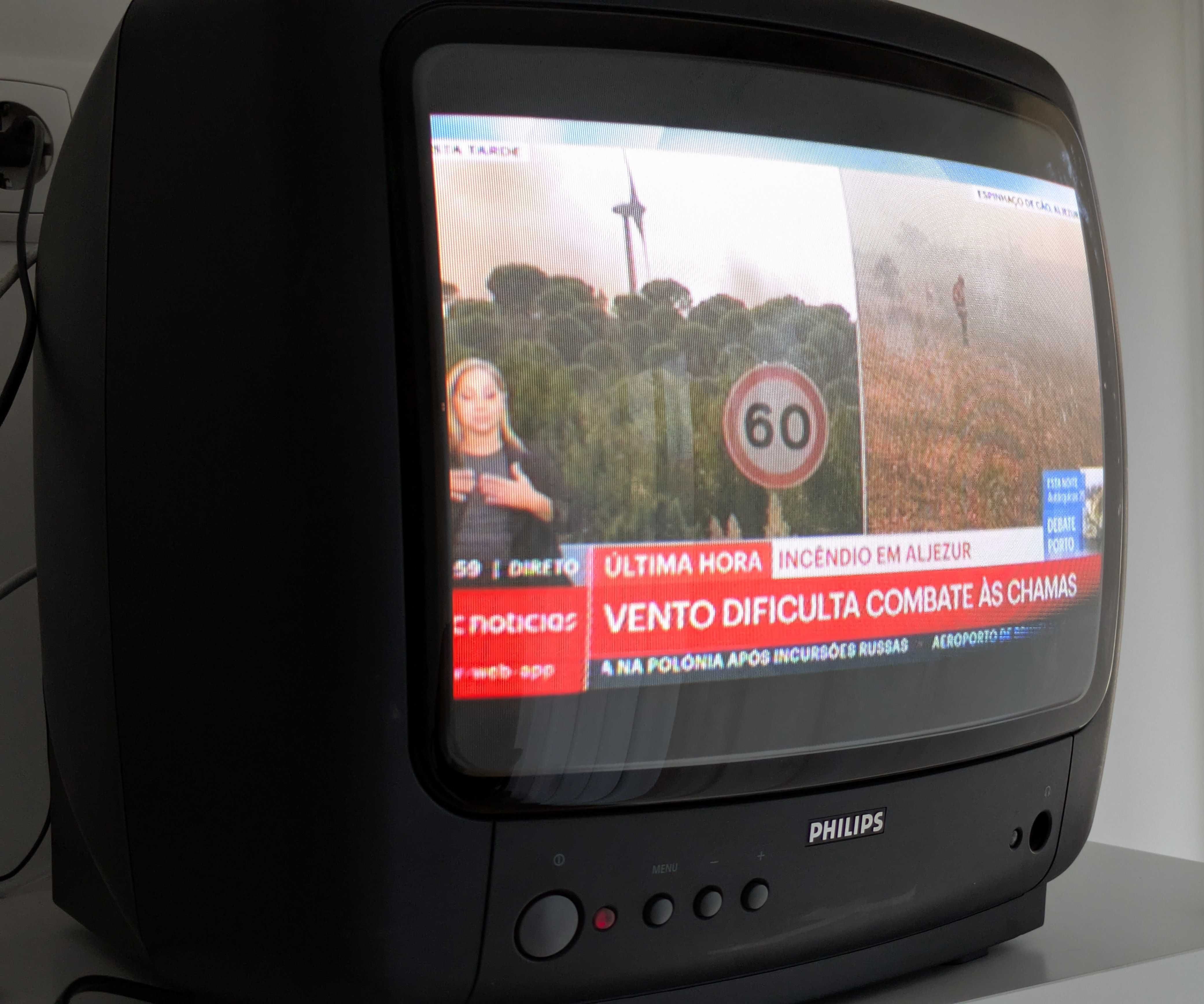 Televisão Philips 14PT1352/00