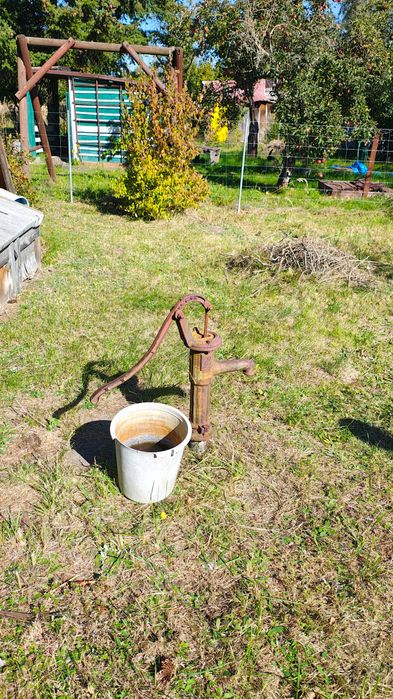 Działka ROD „Zielona Dolina” ul. Piechowicka