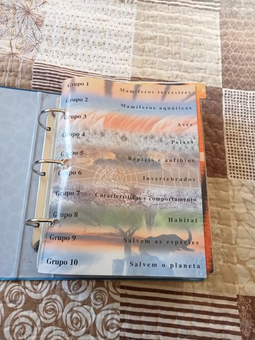 Fascinate mundo animal