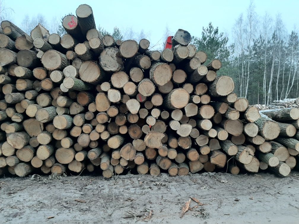 Drewno kominkowe i opałowe suche i na bieżąco Radzyń Podlaski