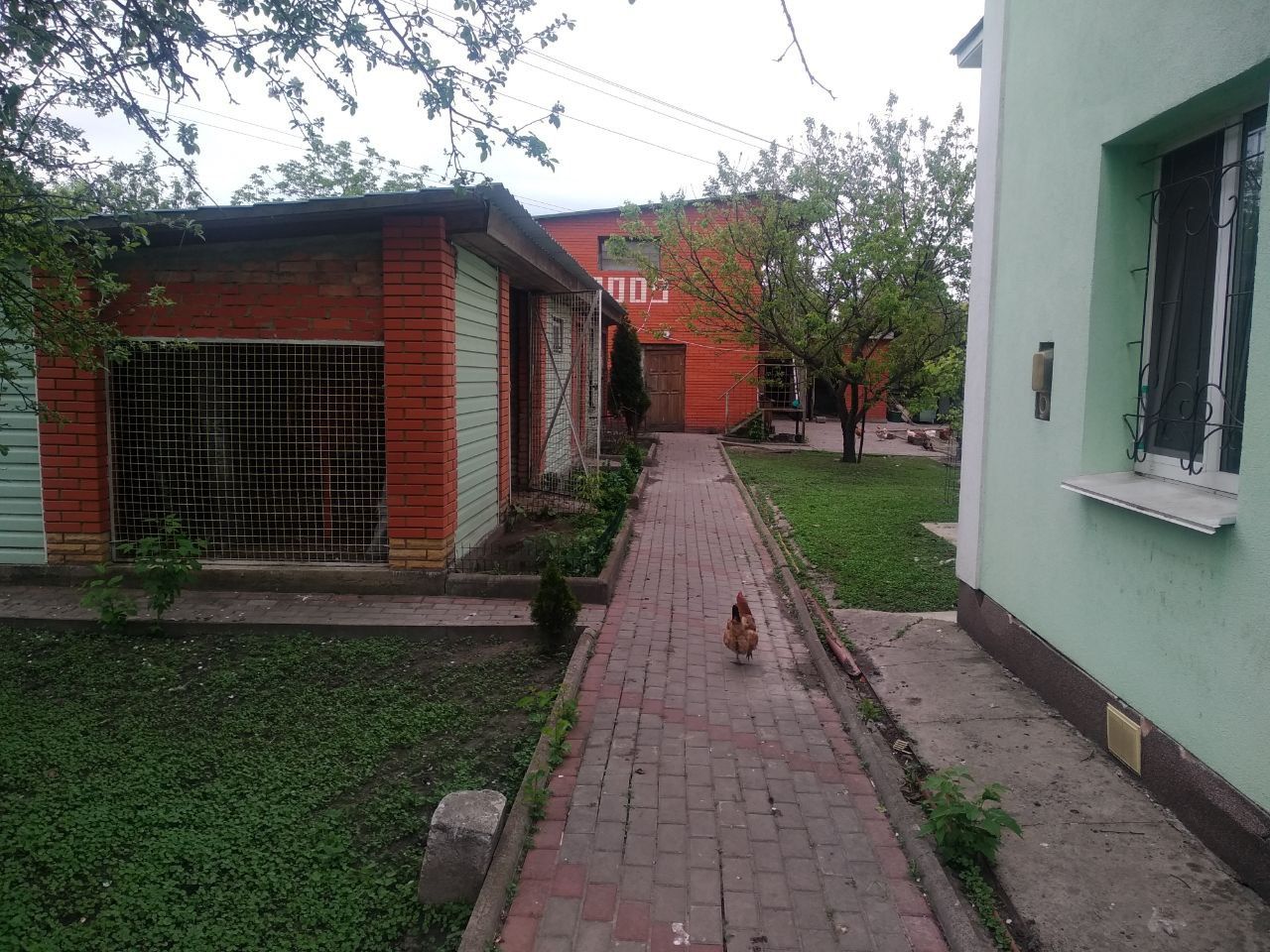 Ділянка 60 соток з будинком