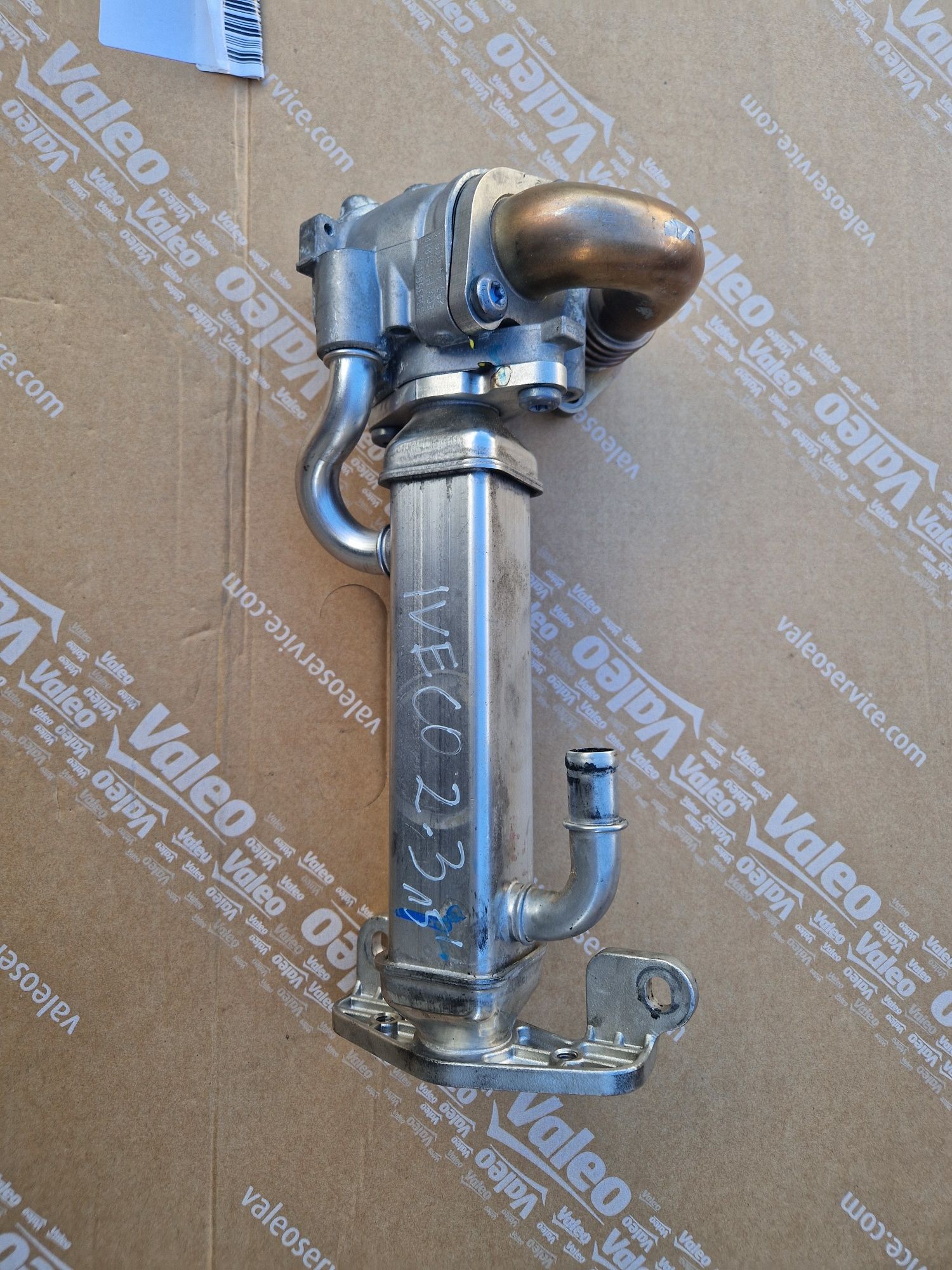 Chłodniczka Egr Ducato, Iveco