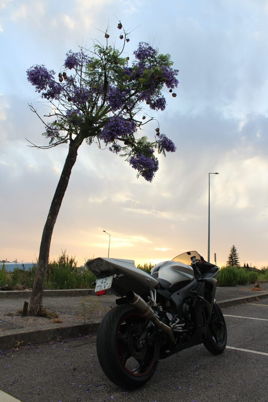 Yamaha R6 2003 A2